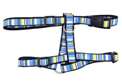 ARNES AZUL 20.0MMX50.0-70.0CMS