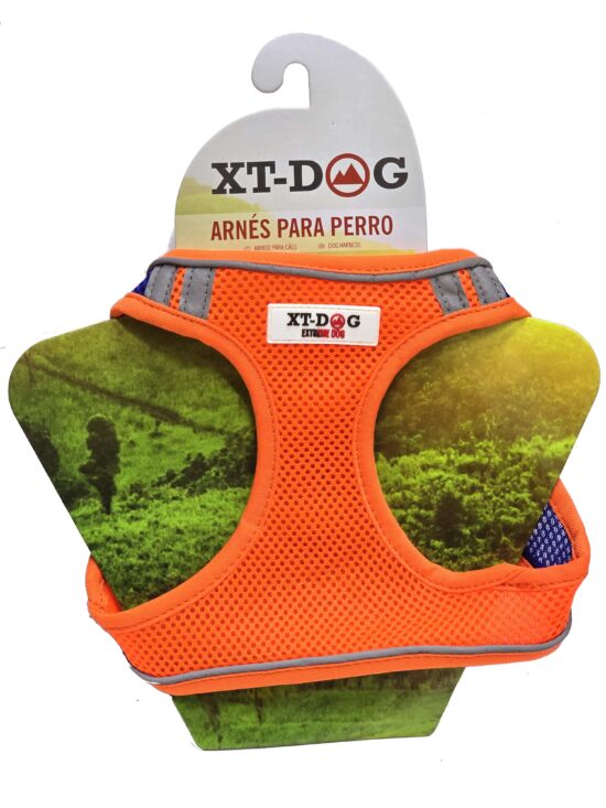 ARNES NARANJA AZUL L 1.9X36-39/45-51CMS