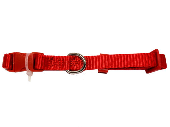 COLLAR LISO NYLON ROJO 10MMX20-30CMS
