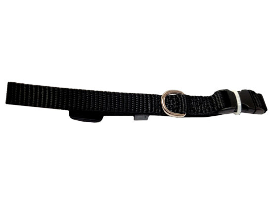 COLLAR LISO NYLON NEGRO 10MMX20-30CMS
