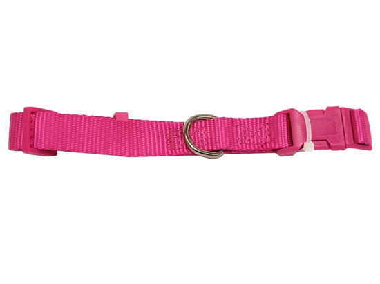COLLAR LISO NYLON ROSA 15MMX26-44CMS