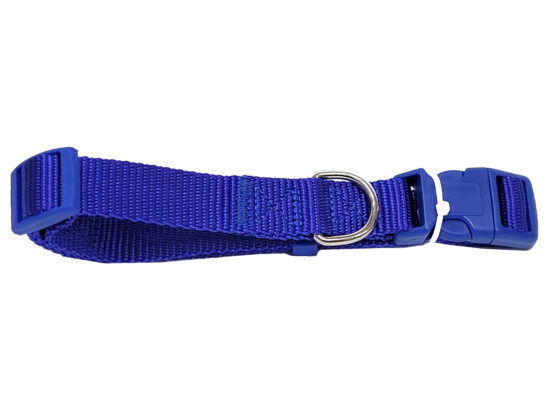 COLLAR LISO NYLON AZUL 20MMX32-50CMS