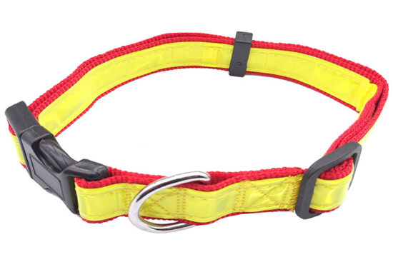 COLLAR FLUOR AM-ROJ 25MMX41-60CMS