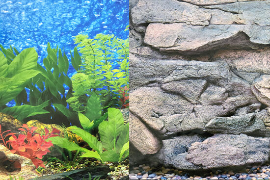 POSTER 30CMSX15MT DOBLE HAWAI/ROCAS