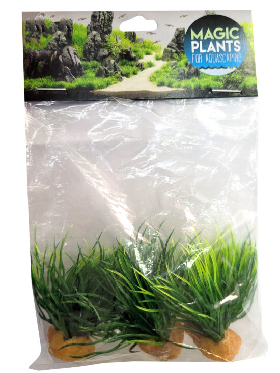 PLANTA MAGIC MINI MOD2 X 3UNDS 5øX5CMS
