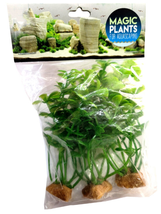 PLANTA MAGIC MINI MOD4 X 3UNDS 5øX10CMS