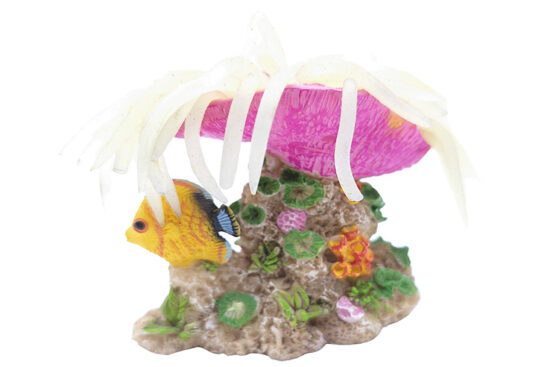 ANEMONA CON PEZ CORALINO 6.0øX11.0CMS