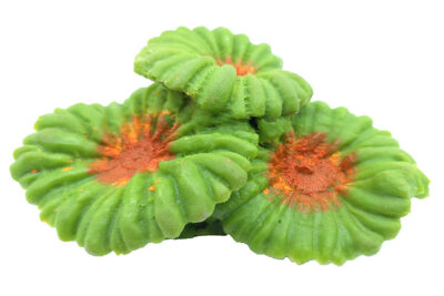 CORAL TRIPLE SETA 14.0X10.0X7.0CMS
