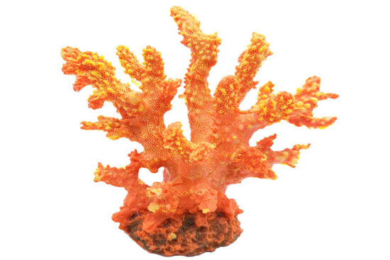 CORAL NARANJA 17.0X8.0X16.0CMS