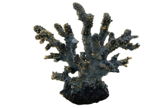 CORAL AZUL VERDOSO 17.0X8.0X16.0CM