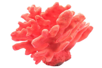 CORAL ROJO MEDIANO 20.0X18.0X16.0CMS