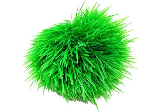 PLANTA SALVACRIAS VERDE 30X27X3.5CMS