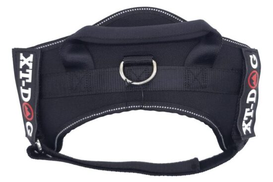 ARNES SEGURIDAD XT-DOG SMALL NEGRO