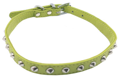 COLLAR T-40 PISTACHO PINCHO