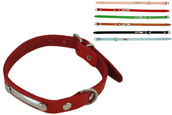 COLLAR CON PLACA 10.0MMX35.0CMS