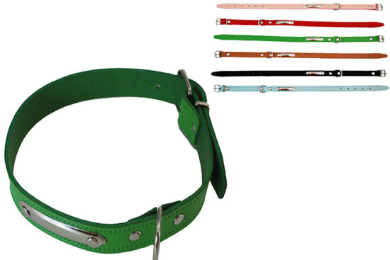 COLLAR CON PLACA 35.0MMX60.0CMS