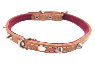 COLLAR T35 CON CLAVOS COSIDO 10.0MMX35.0CMS