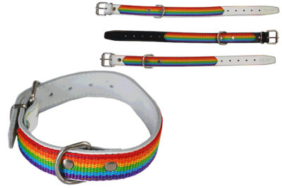 COLLAR 55 BANDERA ARCOIRIS