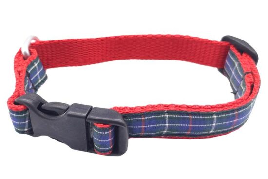 COLLAR T-2 DEC CINTA 20.0MMX24.0-50.0CMS