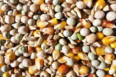 RACION PALOMAS PLUS MANTENIMIENTO 25KG