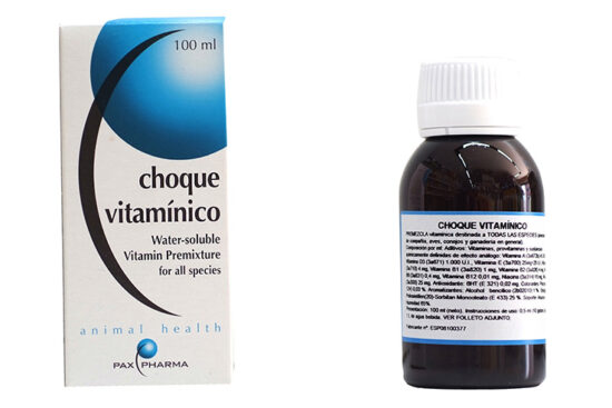 CHOQUE VITAMINICO 100 ML