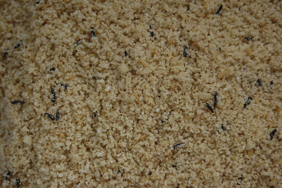 PASTA ALMENDRAS CRIA