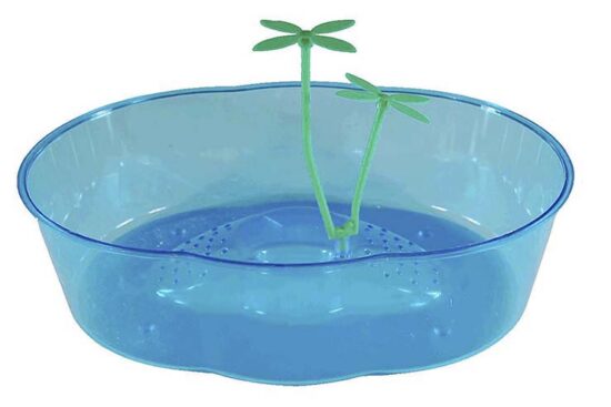 TORTUGUERA RIÑON 32.0x24.5x8.5CMS