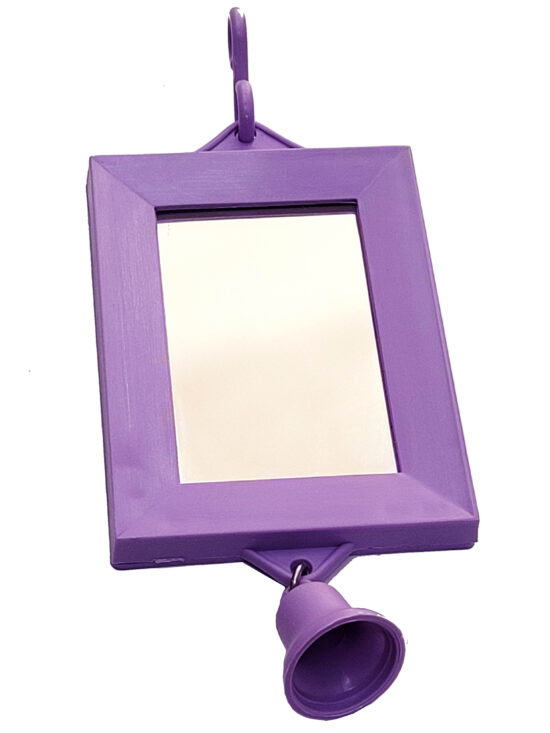ESPEJO SIMPLE CON CAMPANA6.0X9.0CMS