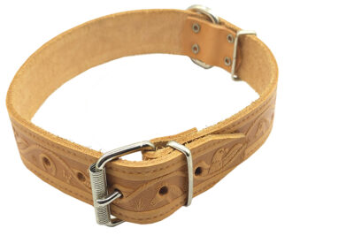 COLLAR 3CMS/55 30.0MMX55.0CMS