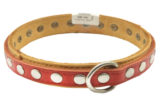 COLLAR FORNITURA PCC0