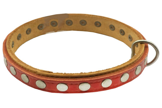 COLLAR FORNITURA PCC1
