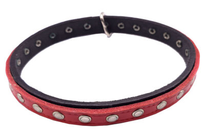 COLLAR CERRADO FORNITURA PCC3 20.0MMX44.0CMS