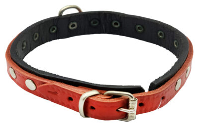 COLLAR C.HEBILLA PCH1