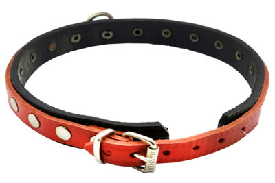 COLLAR C.HEBILLA PCH2