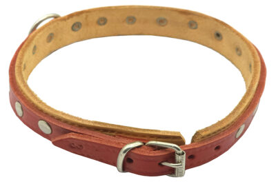 COLLAR C.HEBILLA PCH3
