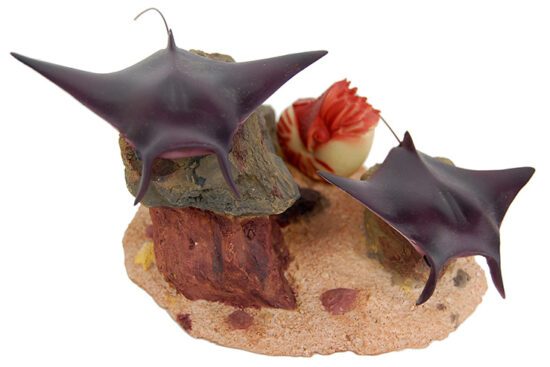 PAR MANTAS OCEANO MOVIL BURBUJAS 17X13X10CMS