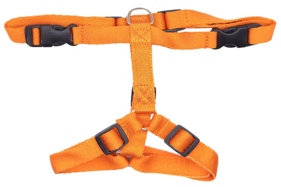 ARNES 20MM 52-80CMS NARANJA BL