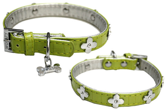 COLLAR LUXE FANTASY VERDE 15MMX35CMS