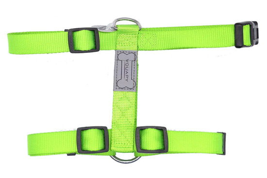 ARNES 20MM 52-80CMS VERDE BL