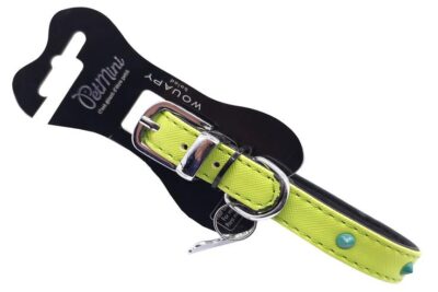 COLLAR CLOU 15MMX30CMS VERDE