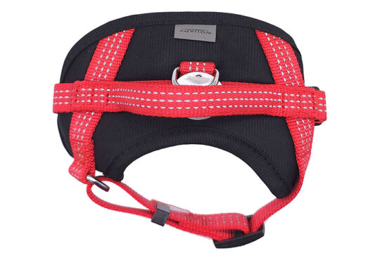 ARNES 15MM 29-31CMS ROJO BASIC PROTEC COMFORT WOUAPY