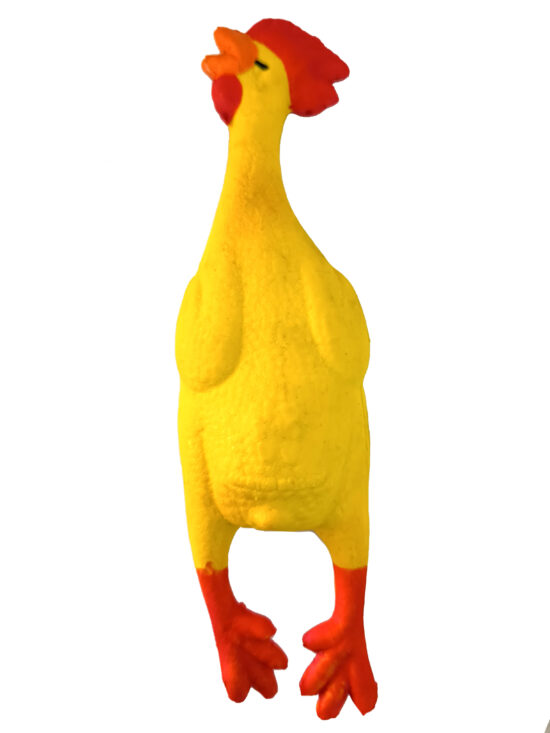 POLLO SONORO MEDIANO 24CMS