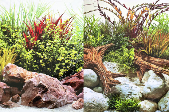 POSTER 45.5CMSX15CMS DOBLE PLANTAS/ROCAS Y TRONCOS