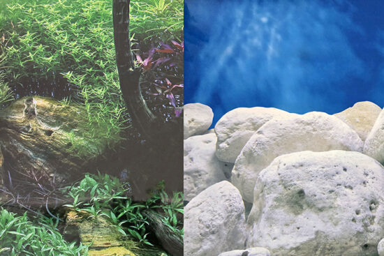 POSTER 45.5CMSX15MT DOBLE PLANTAS CON ROCAS/TRONCOS
