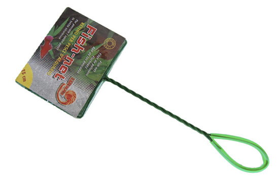 RED VERDE 15x12cms 30cms MANGO