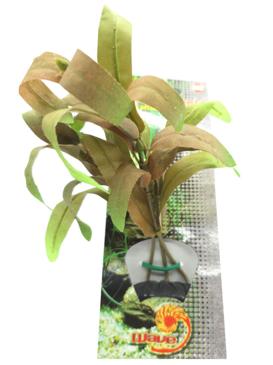 AMMANIA 18.0CMS