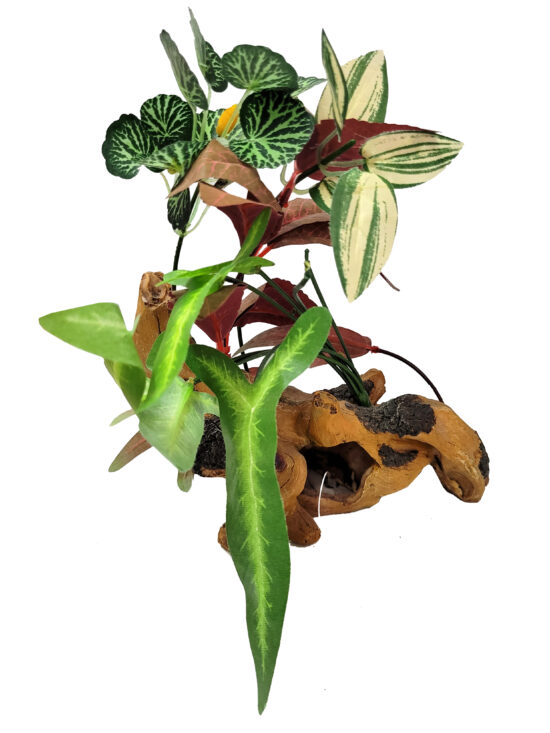 TRONCO MED N3 CON PLANTAS 21X10X25CMS