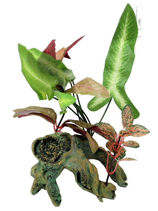 TRONCO MED N5 CON PLANTAS 15.0X12.0X25.0CMS