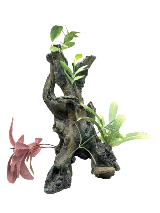 TRONCO X-GR N1 CON PLANTAS 22.0X14.0X38.0CMS