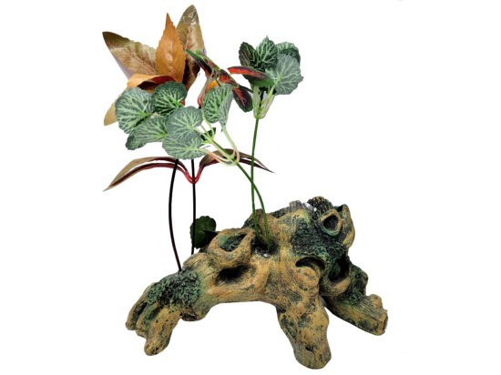 TRONCO GDE N1 CON PLANTAS 28.0X12.025.0CMS